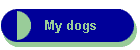 My dogs