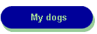 My dogs